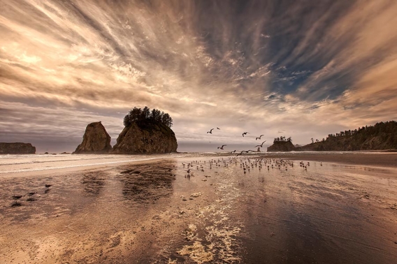 2nd beach at la push in washington usa